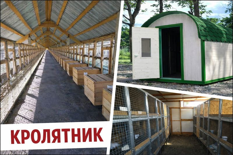 Помещение для разведения кроликов